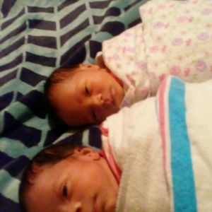 Meet your Posher, Lamareon